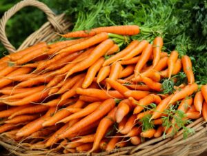 Premium β-carotene enhances color, offers antioxidants, and supports immune health in baking, dairy, confectionery, and instant foods, helping brands meet demand for natural, functional ingredients.